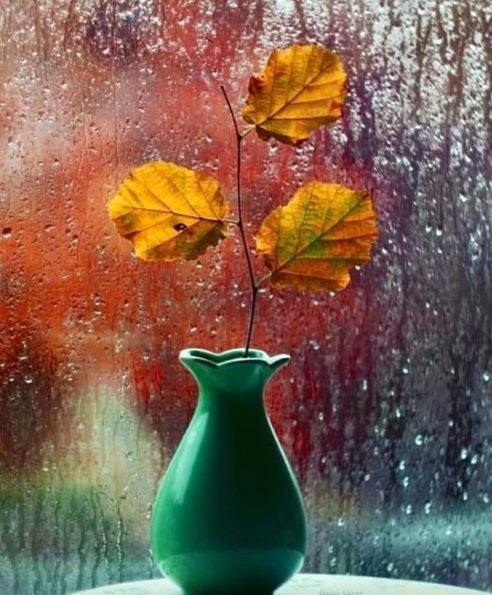 Әкесі мен қызы секс туралы онлайн видео